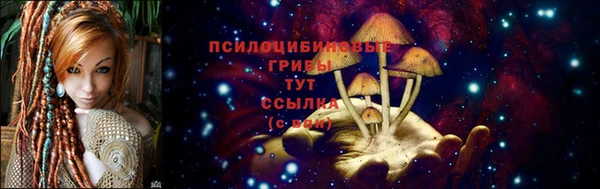 хмурый Михайлов
