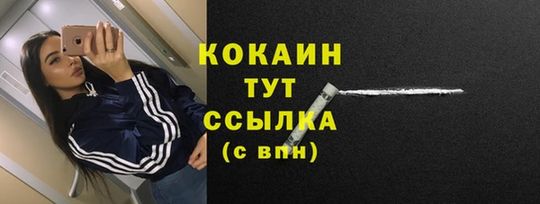 хмурый Михайлов