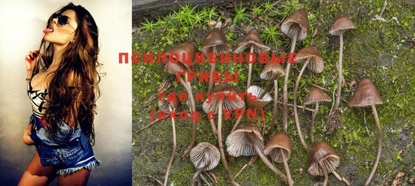 хмурый Михайлов