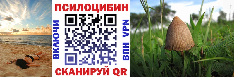 Галлюциногенные грибы Psilocybine cubensis  ссылка на мегу вход  Дегтярск 